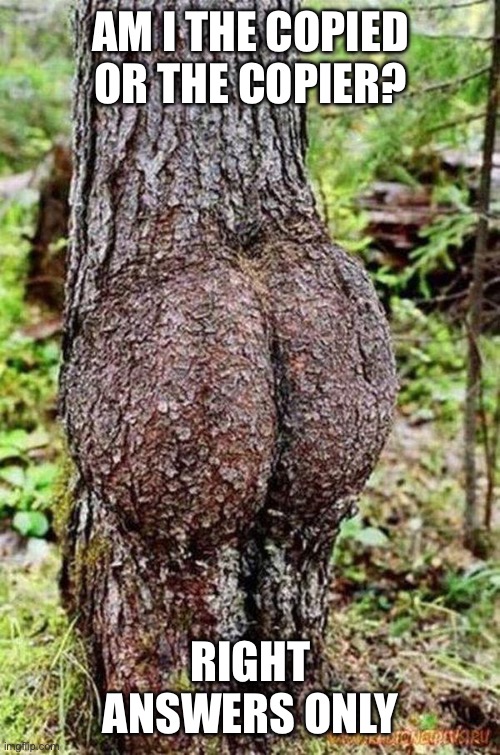 Imma be cringe and follow a trend | AM I THE COPIED OR THE COPIER? RIGHT ANSWERS ONLY | image tagged in sexy tree | made w/ Imgflip meme maker