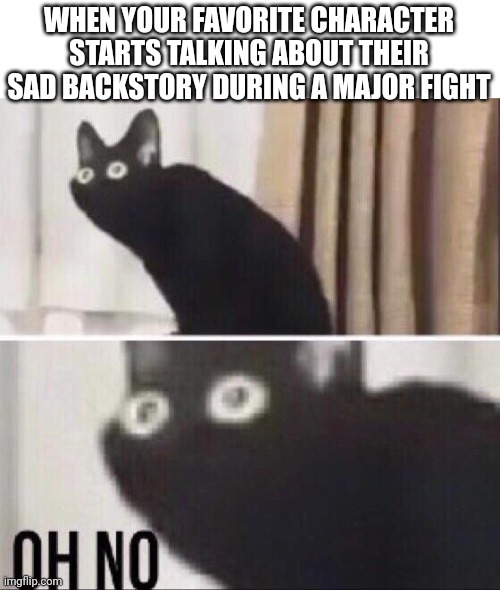 Oh no cat | WHEN YOUR FAVORITE CHARACTER STARTS TALKING ABOUT THEIR SAD BACKSTORY DURING A MAJOR FIGHT | image tagged in oh no cat,anime,funny memes | made w/ Imgflip meme maker