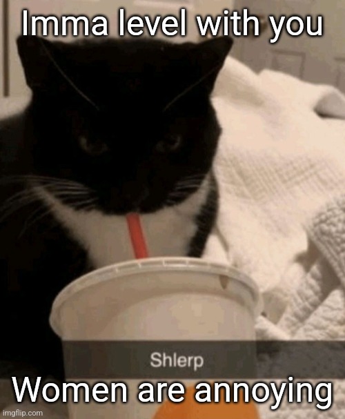 Shlerp | Imma level with you; Women are annoying | image tagged in shlerp | made w/ Imgflip meme maker