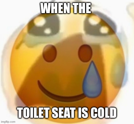 I HATE cold toilet seats | WHEN THE; TOILET SEAT IS COLD | image tagged in pain,cold,freezing cold,toilet seat | made w/ Imgflip meme maker