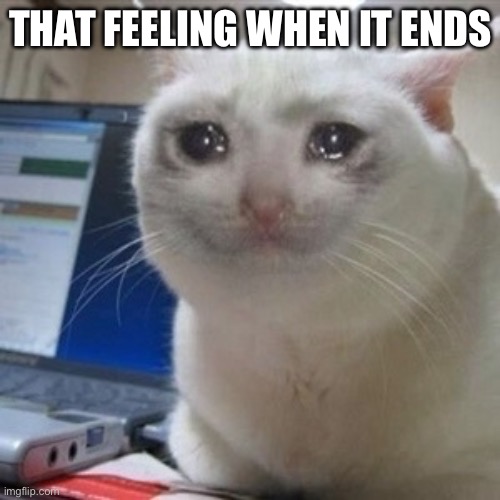 Crying cat | THAT FEELING WHEN IT ENDS | image tagged in crying cat | made w/ Imgflip meme maker