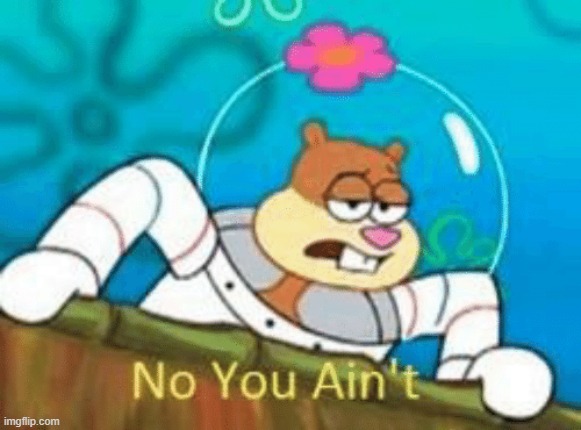 No You Ain't | image tagged in no you ain't | made w/ Imgflip meme maker