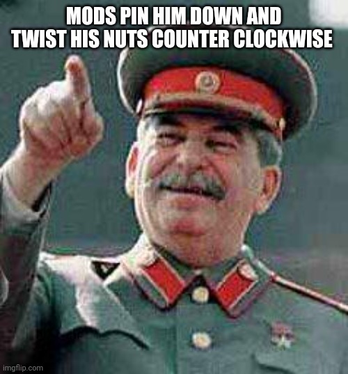 Stalin says | MODS PIN HIM DOWN AND TWIST HIS NUTS COUNTER CLOCKWISE | image tagged in stalin says | made w/ Imgflip meme maker