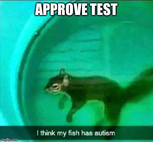 if auto approve is still on we’re screwed on December 9th | APPROVE TEST | made w/ Imgflip meme maker