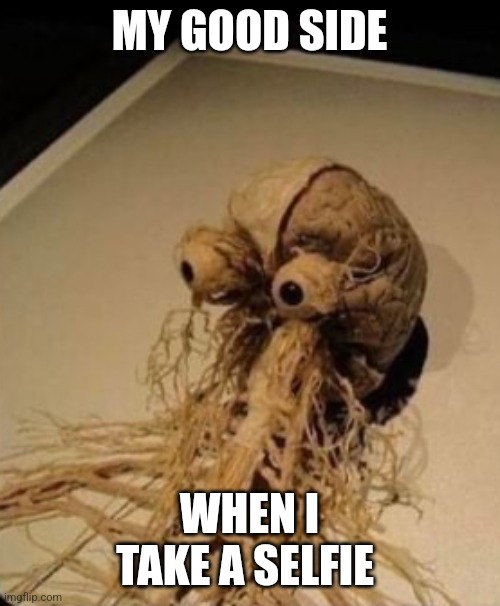 My good side | MY GOOD SIDE; WHEN I TAKE A SELFIE | image tagged in the nervous system | made w/ Imgflip meme maker
