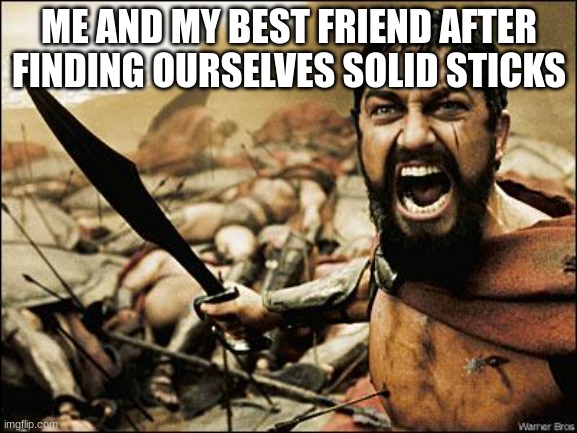 Spartan Leonidas | ME AND MY BEST FRIEND AFTER FINDING OURSELVES SOLID STICKS | image tagged in spartan leonidas | made w/ Imgflip meme maker