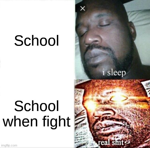 Sleeping Shaq | School; School when fight | image tagged in memes,sleeping shaq | made w/ Imgflip meme maker