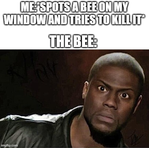 how it feels to try and kill a bee | ME:*SPOTS A BEE ON MY WINDOW AND TRIES TO KILL IT*; THE BEE: | image tagged in memes,kevin hart | made w/ Imgflip meme maker