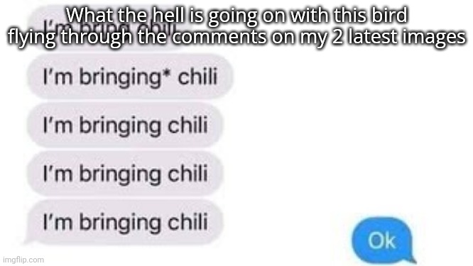 I'm bring chili | What the hell is going on with this bird flying through the comments on my 2 latest images | image tagged in i'm bring chili | made w/ Imgflip meme maker