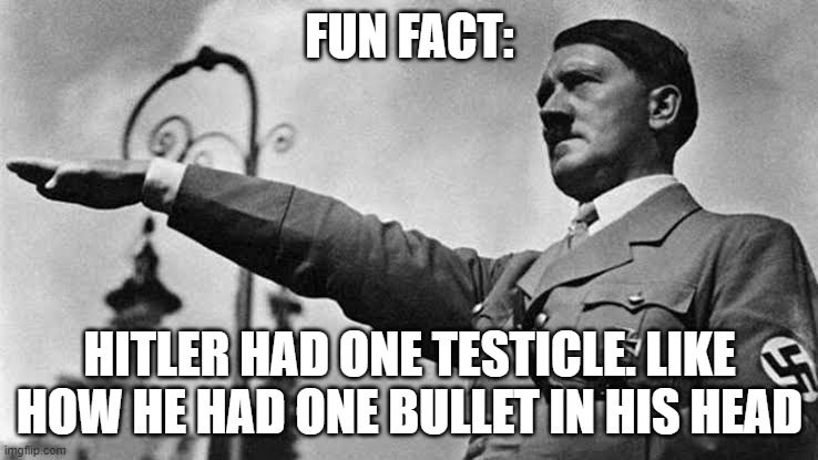 Sieg Heil | FUN FACT:; HITLER HAD ONE TESTICLE. LIKE HOW HE HAD ONE BULLET IN HIS HEAD | image tagged in sieg heil | made w/ Imgflip meme maker