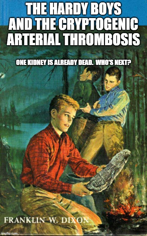 Hardy Boys | THE HARDY BOYS AND THE CRYPTOGENIC ARTERIAL THROMBOSIS; ONE KIDNEY IS ALREADY DEAD.  WHO'S NEXT? | image tagged in hardy boys | made w/ Imgflip meme maker