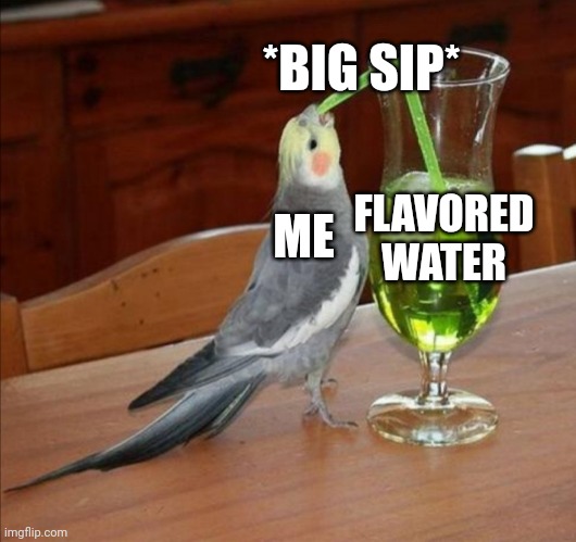 Bird drinking green juice | ME FLAVORED WATER *BIG SIP* | image tagged in bird drinking green juice | made w/ Imgflip meme maker