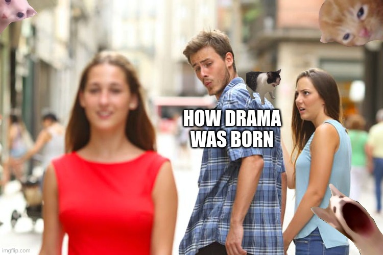 how many cats are there | HOW DRAMA WAS BORN | image tagged in memes,distracted boyfriend | made w/ Imgflip meme maker