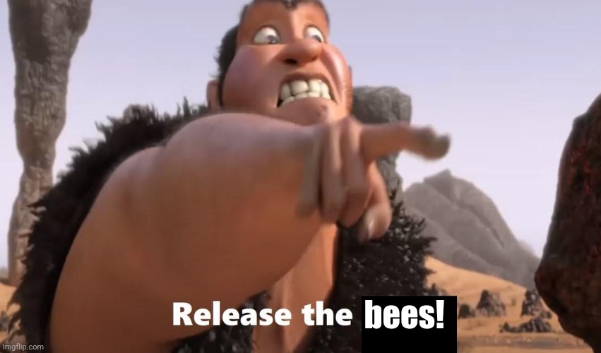 Release the baby | bees! | image tagged in release the baby | made w/ Imgflip meme maker