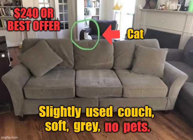 Best offer | $240 OR BEST OFFER; Cat; Slightly  used  couch,  soft,  grey,  no  pets. no  pets. | image tagged in used furniture,for sale,slight use,no pets,offers | made w/ Imgflip meme maker