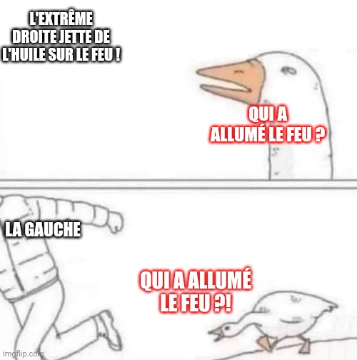 Goose Chase | L'EXTRÊME DROITE JETTE DE L'HUILE SUR LE FEU ! QUI A ALLUMÉ LE FEU ? LA GAUCHE; QUI A ALLUMÉ LE FEU ?! | image tagged in goose chase | made w/ Imgflip meme maker