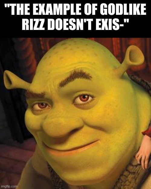 (rizz sfx) | "THE EXAMPLE OF GODLIKE
RIZZ DOESN'T EXIS-" | image tagged in shrek sexy face,rizz,dumb,shrek,funny,impossible | made w/ Imgflip meme maker