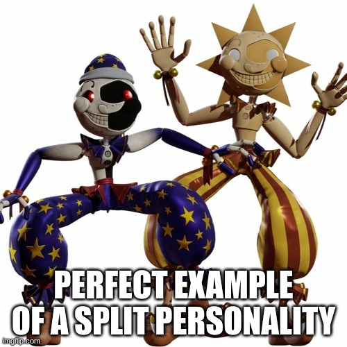schizo | PERFECT EXAMPLE OF A SPLIT PERSONALITY | image tagged in fnaf,fnaf security breach,moondrop,sundrop | made w/ Imgflip meme maker