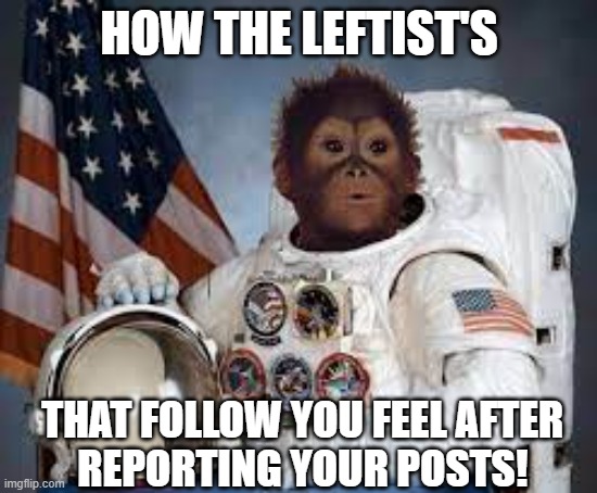 Trained Monkeys | HOW THE LEFTIST'S; THAT FOLLOW YOU FEEL AFTER
 REPORTING YOUR POSTS! | image tagged in monkey puppet,training,trump train,maga,fjb,npc | made w/ Imgflip meme maker