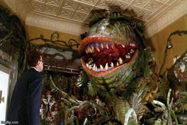 little shop of horrors | image tagged in little shop of horrors | made w/ Imgflip meme maker