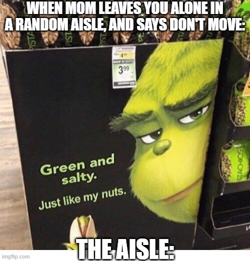 "Hey mom can we buy these-" | WHEN MOM LEAVES YOU ALONE IN A RANDOM AISLE, AND SAYS DON'T MOVE:; THE AISLE: | image tagged in grinch,funny,funny memes,fun,relatable,memes | made w/ Imgflip meme maker