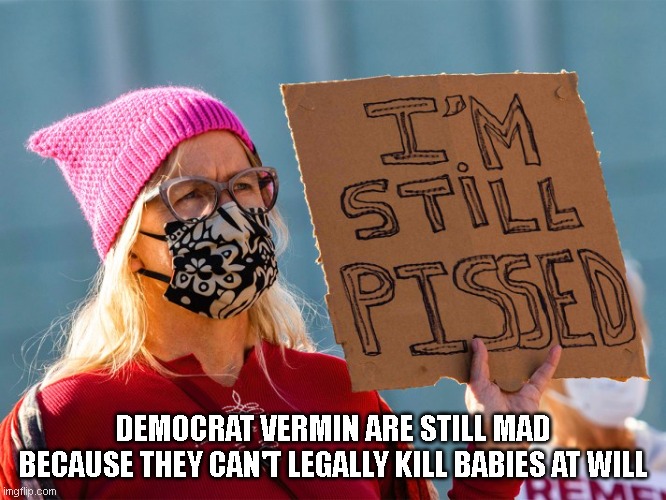 DEMOCRAT VERMIN ARE STILL MAD
BECAUSE THEY CAN'T LEGALLY KILL BABIES AT WILL | made w/ Imgflip meme maker