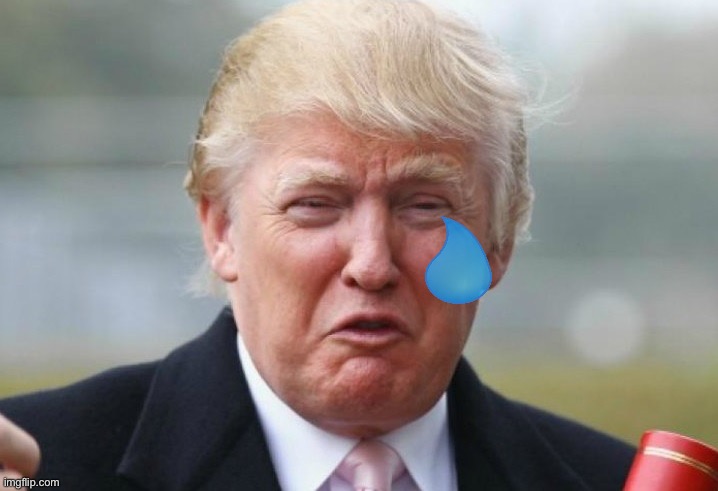 Trump Crybaby | image tagged in trump crybaby | made w/ Imgflip meme maker