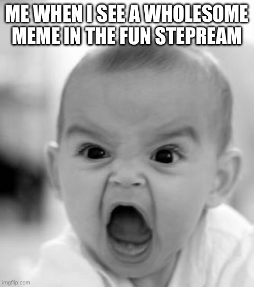 wholesome memes aren’t funny :| | ME WHEN I SEE A WHOLESOME MEME IN THE FUN STEPREAM | image tagged in memes,angry baby | made w/ Imgflip meme maker