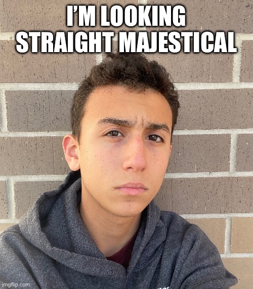 I’M LOOKING STRAIGHT MAJESTICAL | made w/ Imgflip meme maker