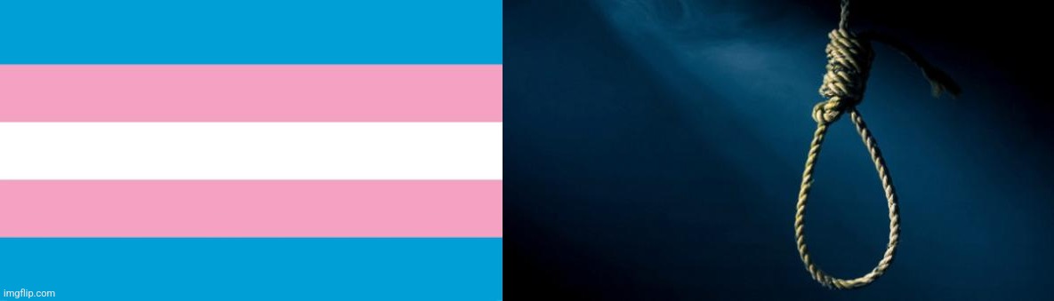 image tagged in transgender flag,noose | made w/ Imgflip meme maker