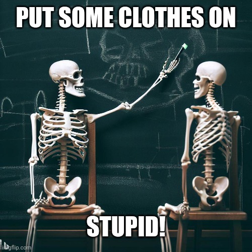 PUT SOME CLOTHES ON STUPID! | made w/ Imgflip meme maker