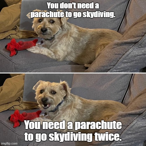 parachute and skydiving | You don't need a parachute to go skydiving. You need a parachute to go skydiving twice. | image tagged in dog comedian ready for punchline | made w/ Imgflip meme maker