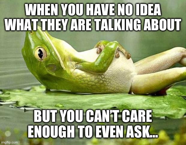 Can’t care enough to even ask… | WHEN YOU HAVE NO IDEA WHAT THEY ARE TALKING ABOUT; BUT YOU CAN’T CARE ENOUGH TO EVEN ASK… | image tagged in lazy frog | made w/ Imgflip meme maker