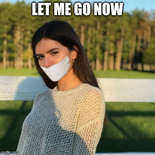 Silence | LET ME GO NOW | image tagged in silence | made w/ Imgflip meme maker