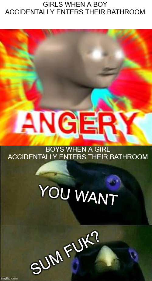 Hehe | GIRLS WHEN A BOY ACCIDENTALLY ENTERS THEIR BATHROOM; BOYS WHEN A GIRL ACCIDENTALLY ENTERS THEIR BATHROOM; YOU WANT; SUM FUK? | image tagged in surreal angery,you want sum fuk,fr,dark humor | made w/ Imgflip meme maker