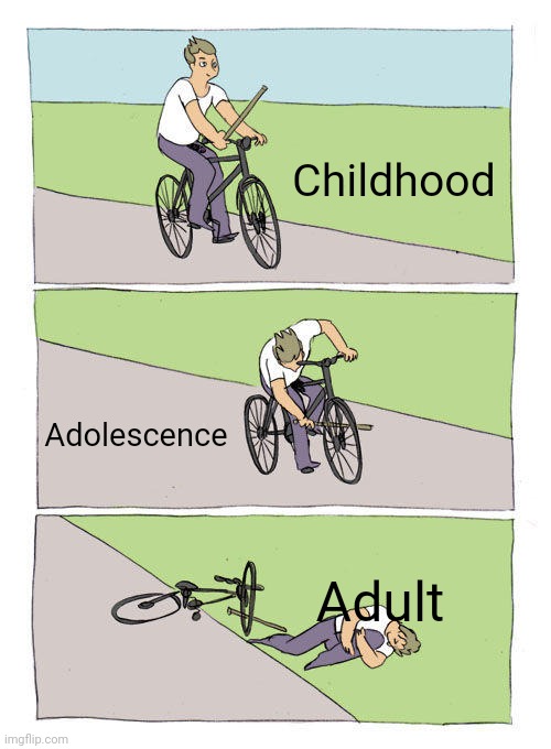 f*ck your adult life | Childhood; Adolescence; Adult | image tagged in memes,bike fall | made w/ Imgflip meme maker