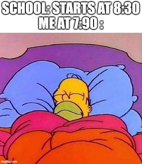 I wish we got to sleep in | SCHOOL: STARTS AT 8:30
ME AT 7:90 : | image tagged in homer simpson sleeping peacefully,school | made w/ Imgflip meme maker