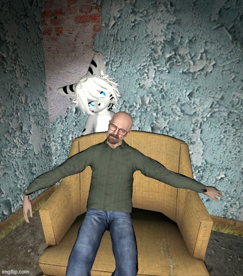 WALTER WHITE! LOOK OUT! | image tagged in breaking bad,changed,furry,gmod | made w/ Imgflip meme maker