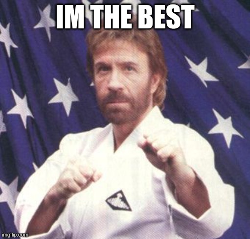 Chuck Norris Karate | IM THE BEST | image tagged in chuck norris karate | made w/ Imgflip meme maker