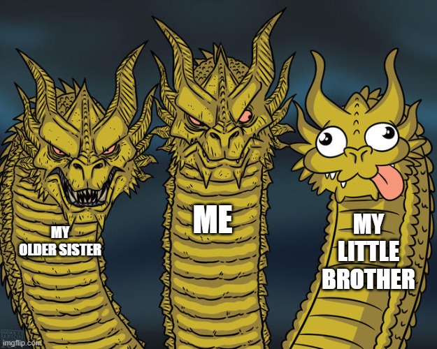 Three-headed Dragon | ME; MY LITTLE BROTHER; MY OLDER SISTER | image tagged in three-headed dragon | made w/ Imgflip meme maker