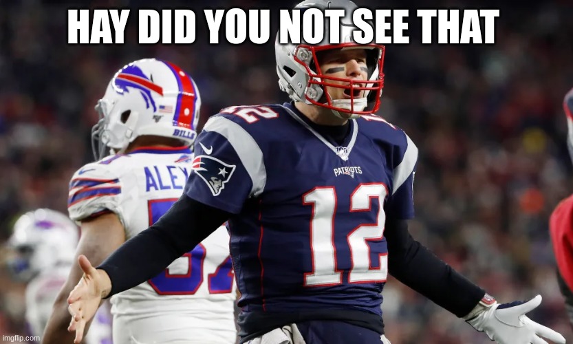 HAY DID YOU NOT SEE THAT | made w/ Imgflip meme maker