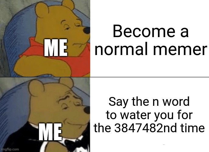 Because of this, I got comment banned | Become a normal memer; ME; Say the n word to water you for the 3847482nd time; ME | image tagged in memes,tuxedo winnie the pooh | made w/ Imgflip meme maker