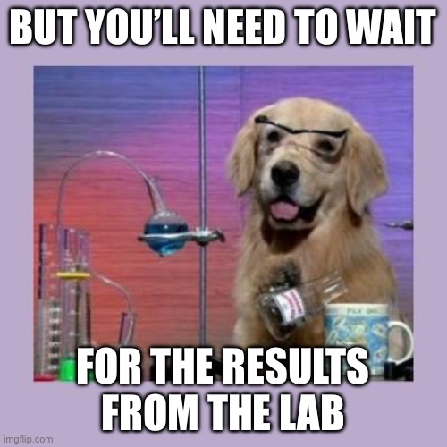 Dog Scientist | BUT YOU’LL NEED TO WAIT; FOR THE RESULTS FROM THE LAB | image tagged in dog scientist | made w/ Imgflip meme maker