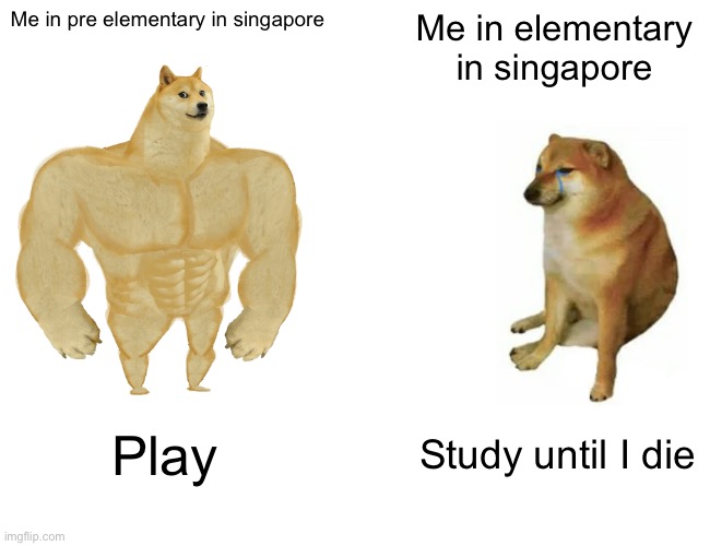 Singapore elementary school vs pre elementary | Me in pre elementary in singapore; Me in elementary in singapore; Play; Study until I die | image tagged in memes,buff doge vs cheems | made w/ Imgflip meme maker