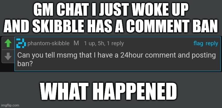 GM CHAT I JUST WOKE UP AND SKIBBLE HAS A COMMENT BAN; WHAT HAPPENED | made w/ Imgflip meme maker