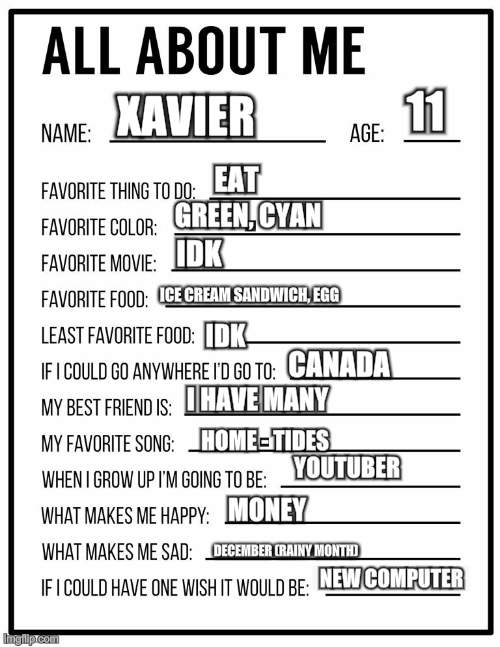 me | 11; XAVIER; EAT; IDK; GREEN, CYAN; ICE CREAM SANDWICH, EGG; IDK; CANADA; I HAVE MANY; HOME - TIDES; YOUTUBER; MONEY; DECEMBER (RAINY MONTH); NEW COMPUTER | image tagged in all about me card,roblox,funny,memes,gif,not really a gif | made w/ Imgflip meme maker