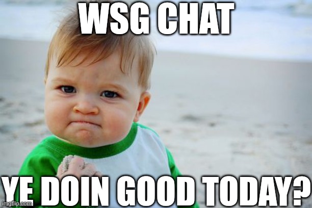 Success Kid Original | WSG CHAT; YE DOIN GOOD TODAY? | image tagged in memes,success kid original | made w/ Imgflip meme maker
