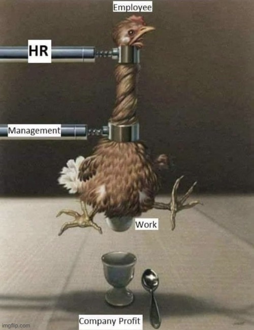 How business works | image tagged in how business operates,employee,hr,managment,work,profit | made w/ Imgflip meme maker