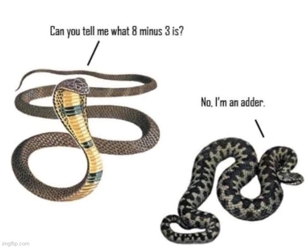 Snakes | image tagged in dad joke | made w/ Imgflip meme maker