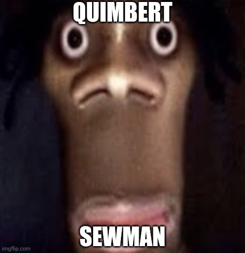 Quimbert Sewman | QUIMBERT; SEWMAN | image tagged in quandale dingle | made w/ Imgflip meme maker